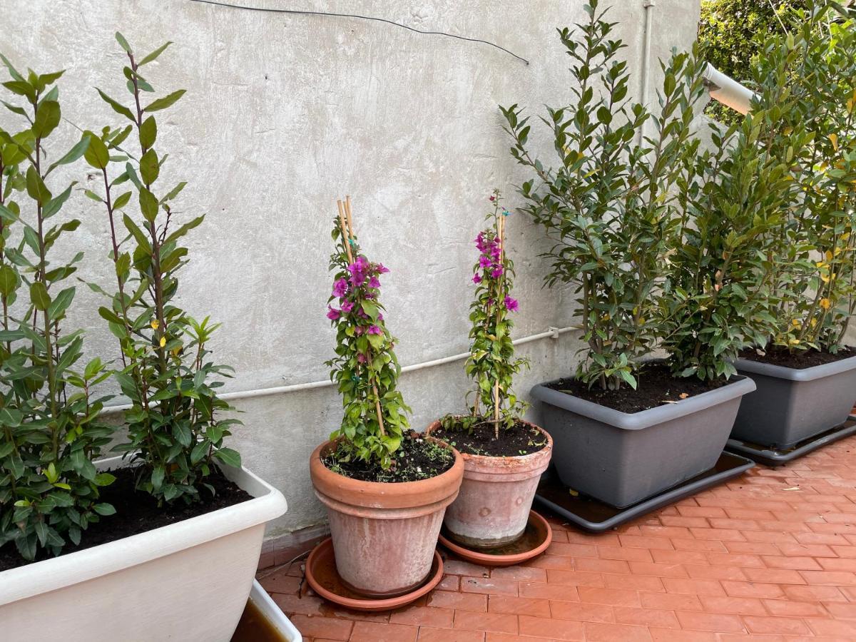 罗马Campo De Fiori Palace别墅 外观 照片